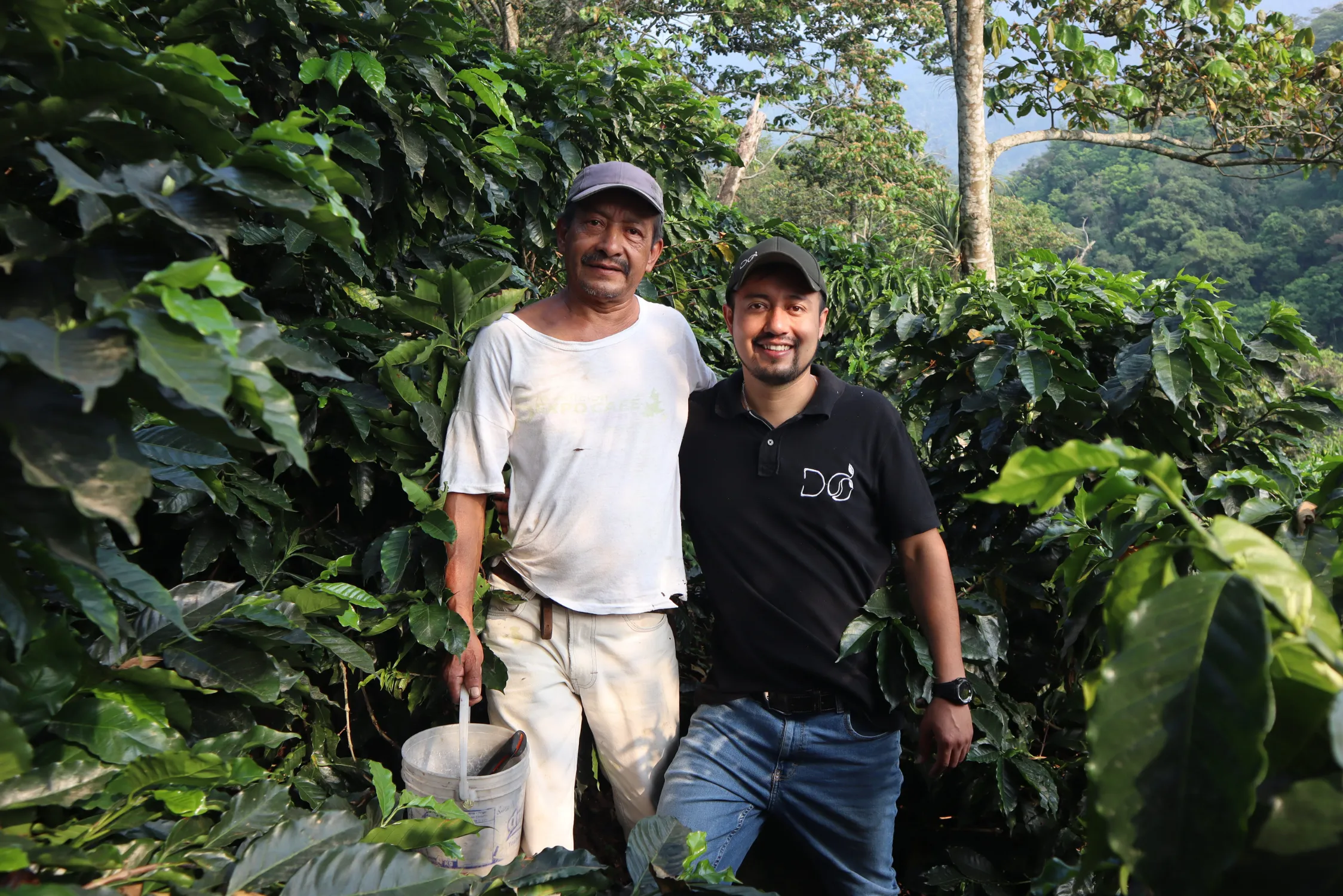 Directo al Origen, Cafés que Cambian el Destino de una Región