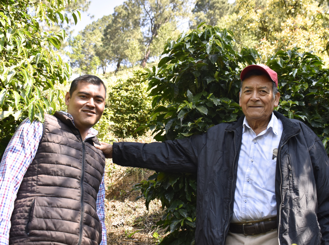 Trazabilidad del Café de Especialidad en Temascaltepec, Estado de México