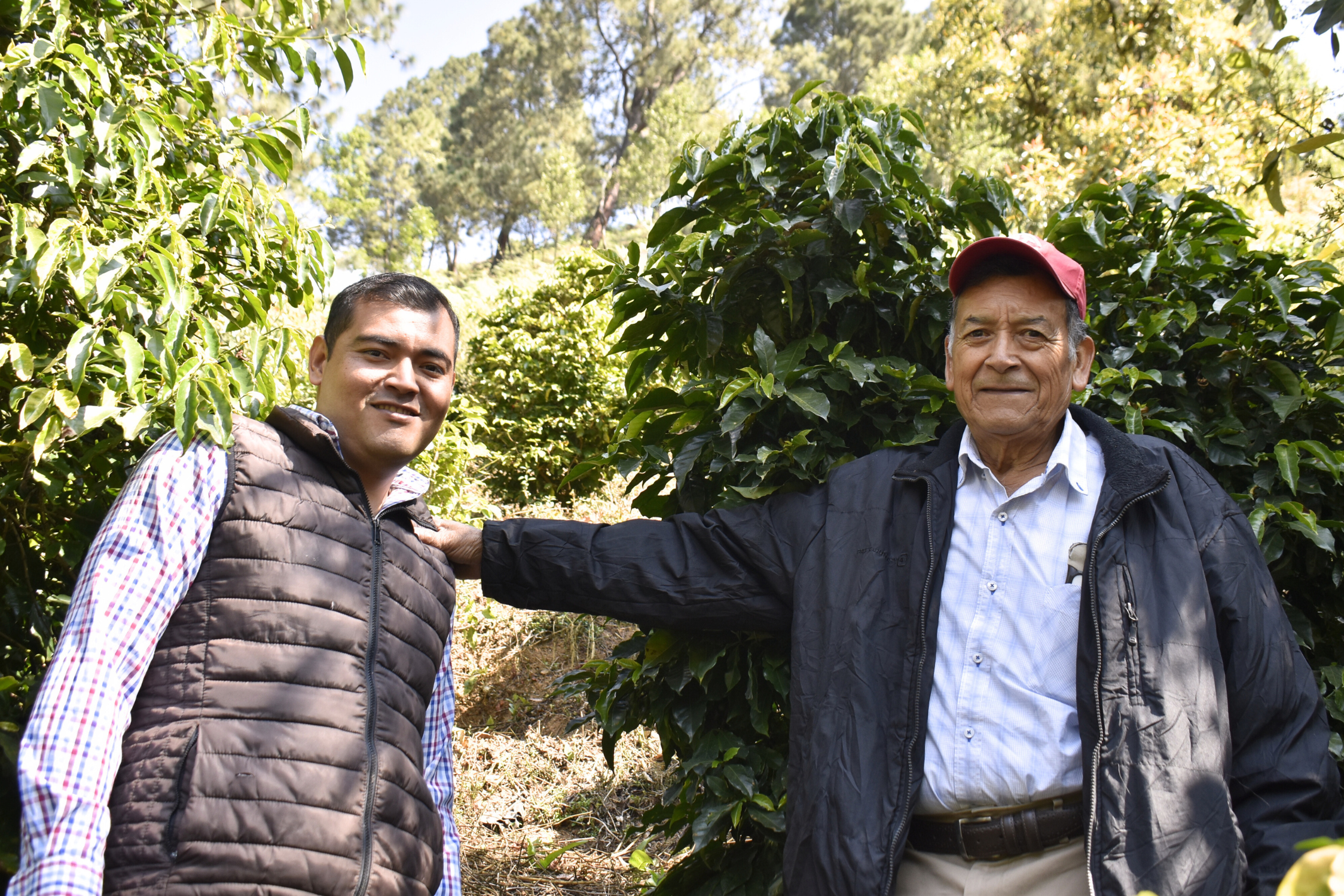 Trazabilidad del Café de Especialidad en Temascaltepec, Estado de México